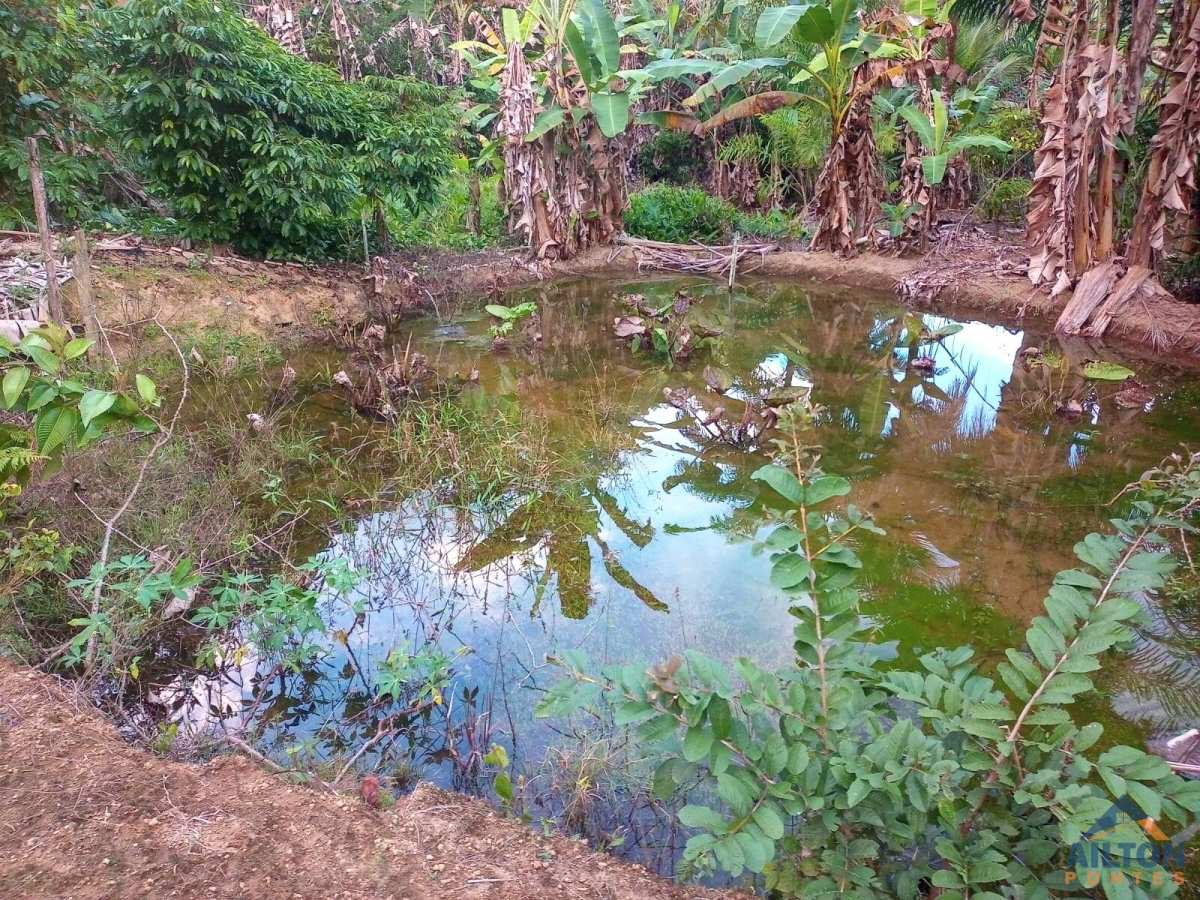 Chácara à venda com 2 quartos, 5.080,00m² - São Félix,Guarapari