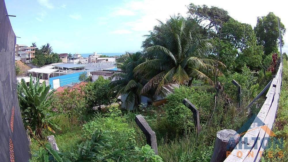  - Lotes à Venda no Bairro Ipiranga - Guarapari/ES